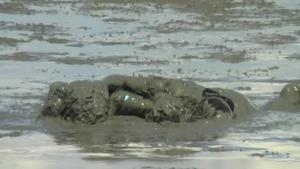 japanese-mud-virgins-volume-1_18.jpg